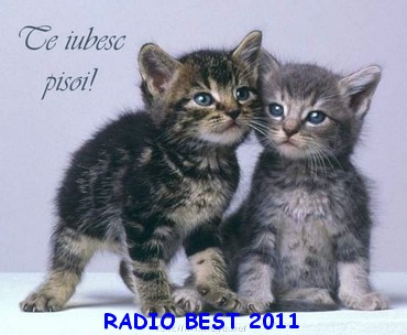 Poze Animale Mesaje Dragoste Si Iubire 69 Radio Best Online