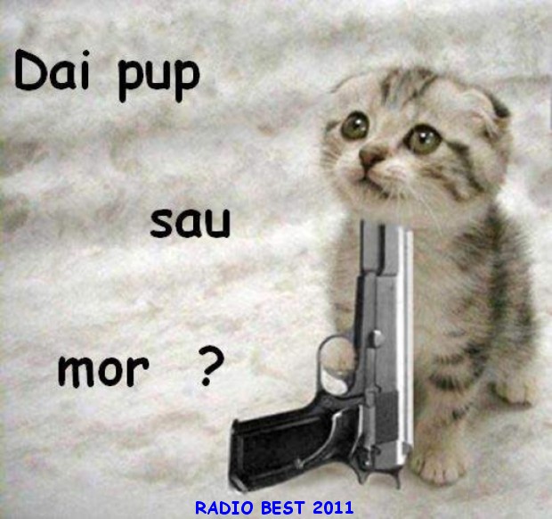 Poze Animale Mesaje Dragoste Si Iubire 76 Radio Best Online